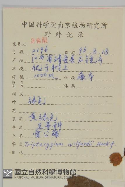 雷公藤藏品圖，第2張