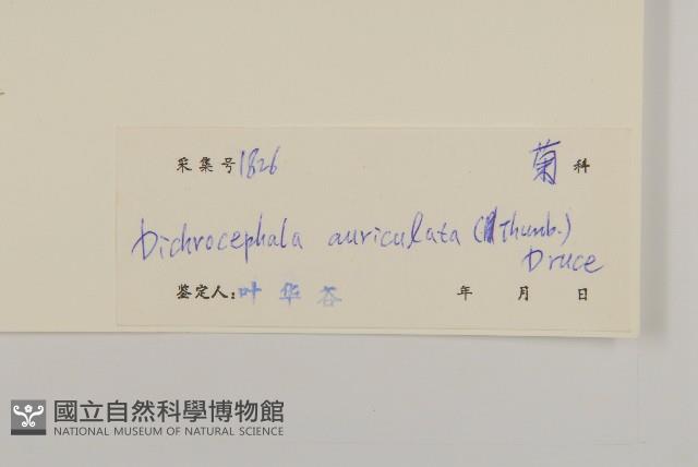 Accession Number:S039712 Collection Image, Figure 3, Total 3 Figures