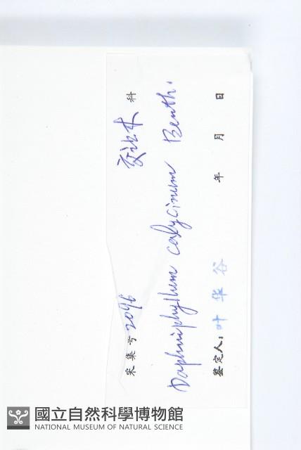 牛耳楓藏品圖，第3張