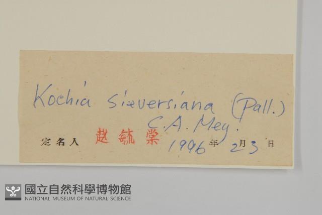 登錄號:S028052藏品圖，第3張