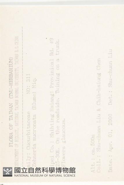 黑果馬交兒藏品圖，第2張