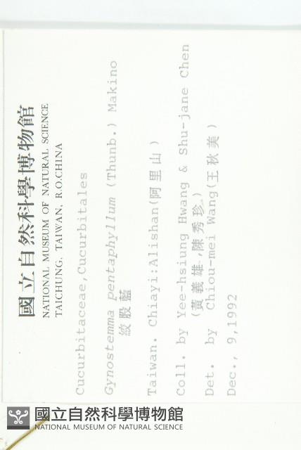 絞股藍藏品圖，第2張