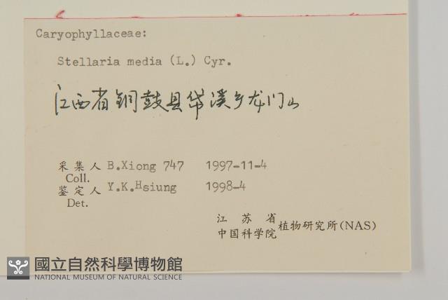 繁縷藏品圖，第3張