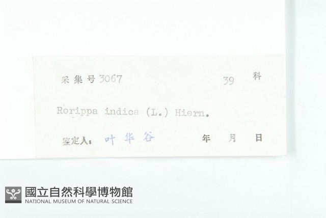 Accession Number:S039792 Collection Image, Figure 3, Total 3 Figures