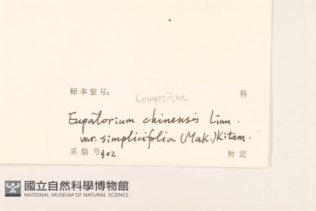 登錄號:S129392藏品圖，第3張