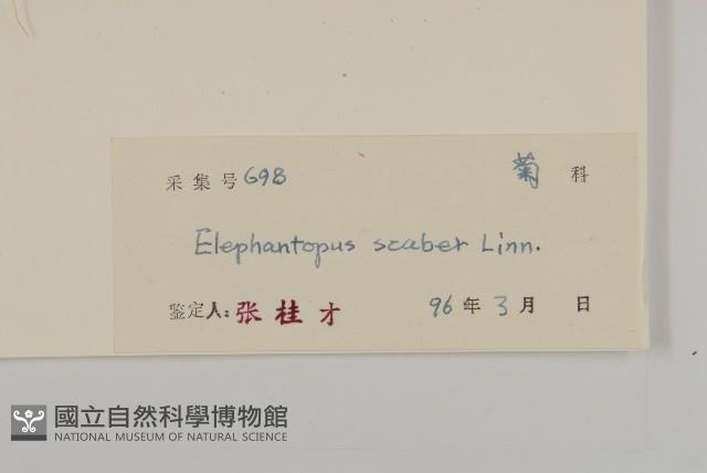 燈豎朽藏品圖，第3張