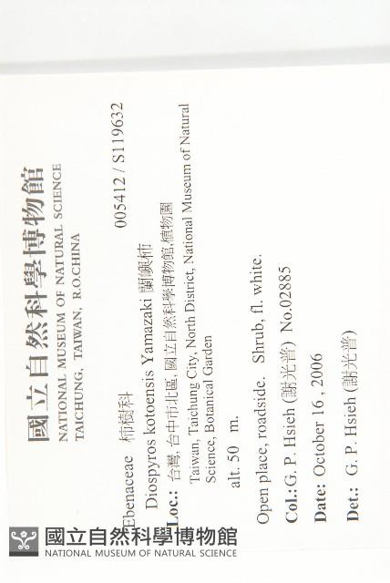 蘭嶼柿藏品圖，第2張