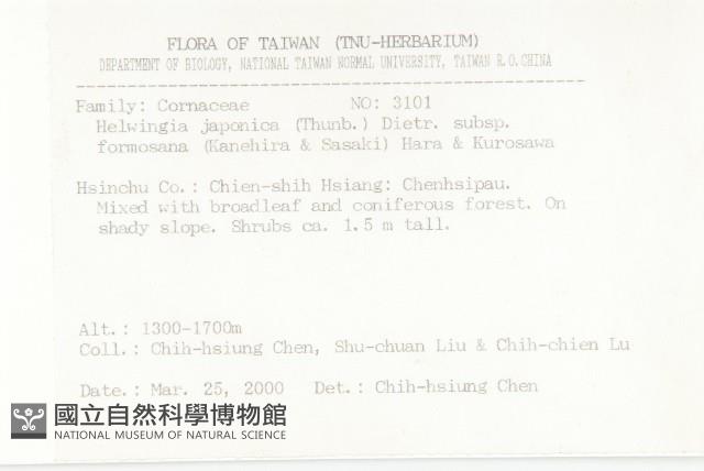 臺灣青莢葉藏品圖，第2張