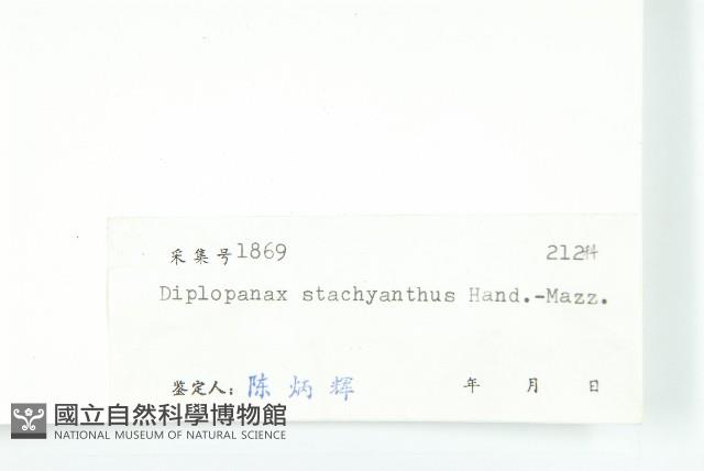 馬蹄參藏品圖，第3張