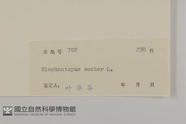 燈豎朽藏品圖，第3張