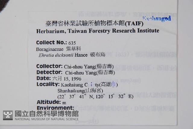 破布烏藏品圖，第2張