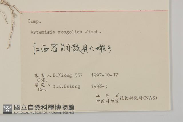 蒙古蒿藏品圖，第3張