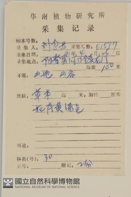 草珊瑚、紅果金粟蘭藏品圖，第2張