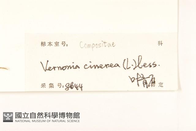 一枝香藏品圖，第3張