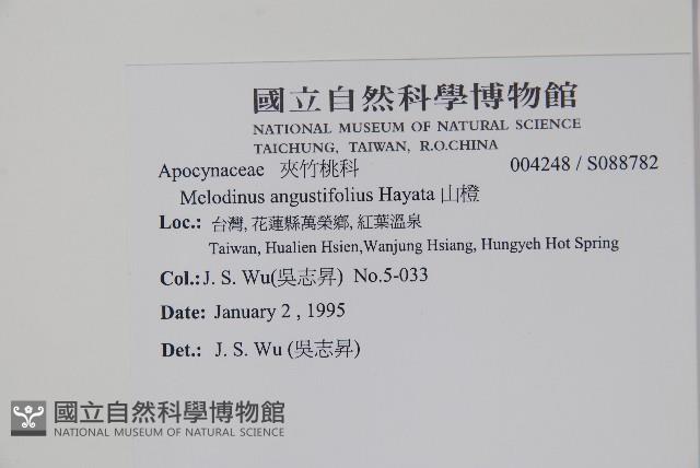 山橙藏品圖，第2張