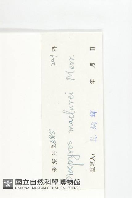 瓊島柿藏品圖，第3張