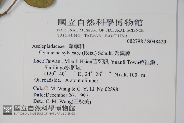 武靴藤藏品圖，第2張