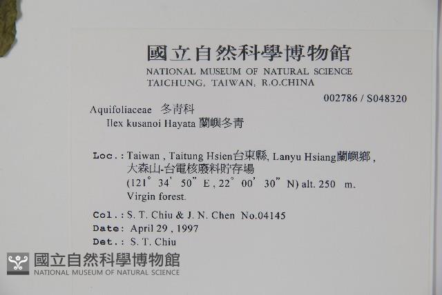 草野氏冬青藏品圖，第2張