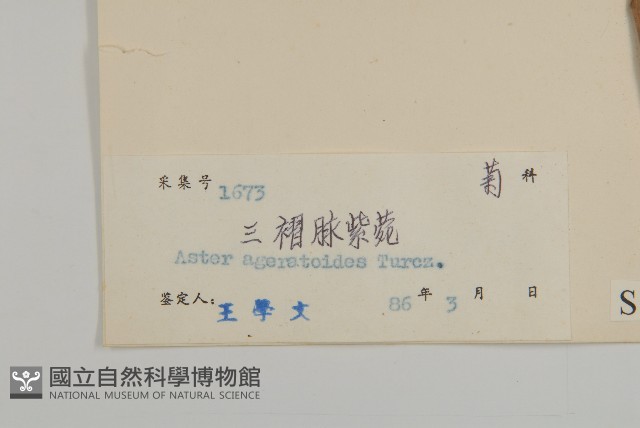山白蘭藏品圖，第3張