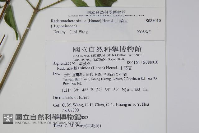 山菜豆藏品圖，第2張