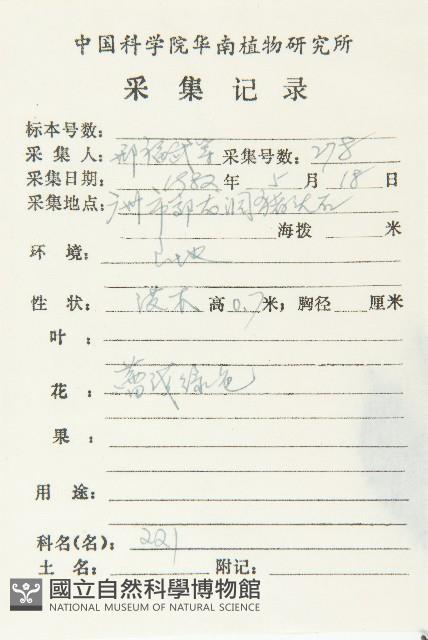 山紅柿藏品圖，第2張