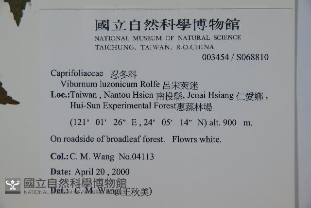 呂宋莢迷藏品圖，第2張