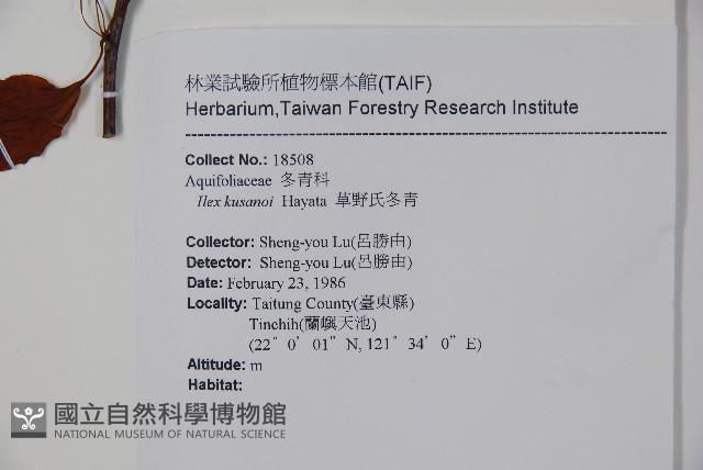 草野氏冬青藏品圖，第2張