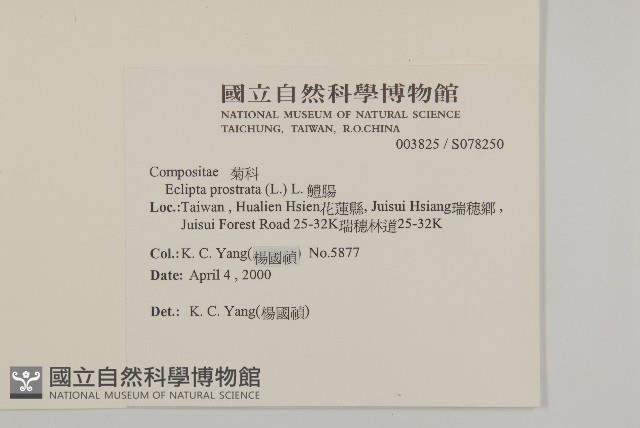 鱧腸藏品圖，第2張