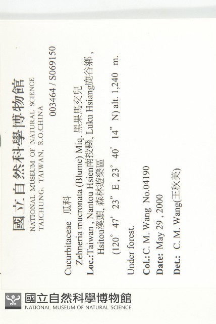 黑果馬交兒藏品圖，第2張