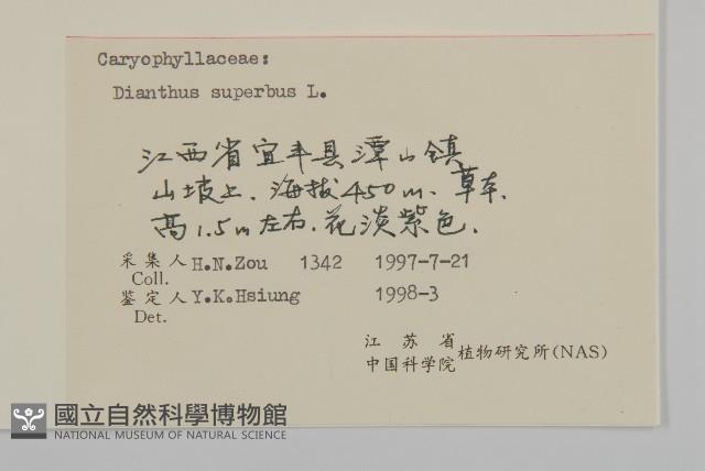 瞿麥藏品圖，第3張