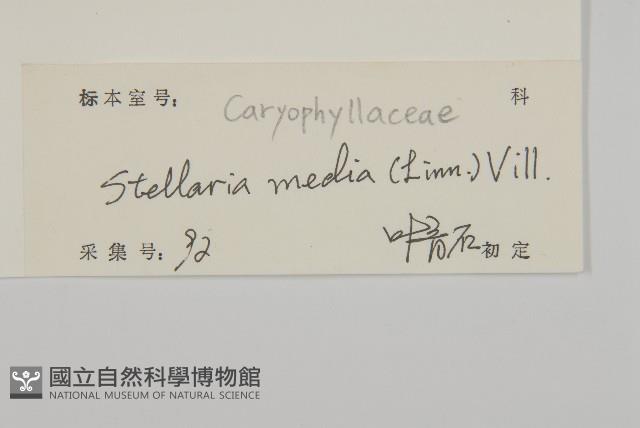 繁縷藏品圖，第3張