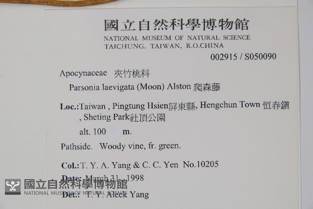 爬森藤藏品圖，第2張