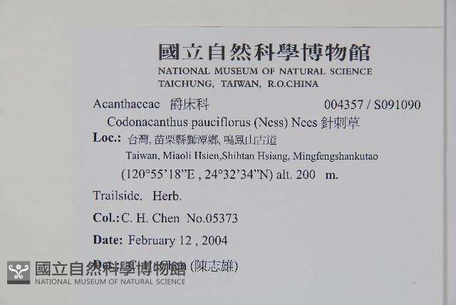 針刺草藏品圖，第2張