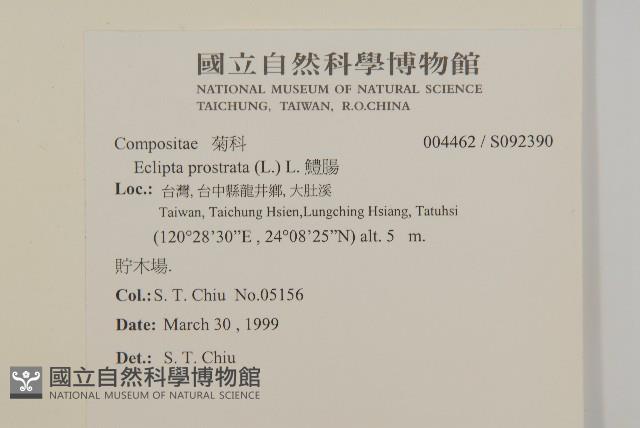 鱧腸藏品圖，第2張