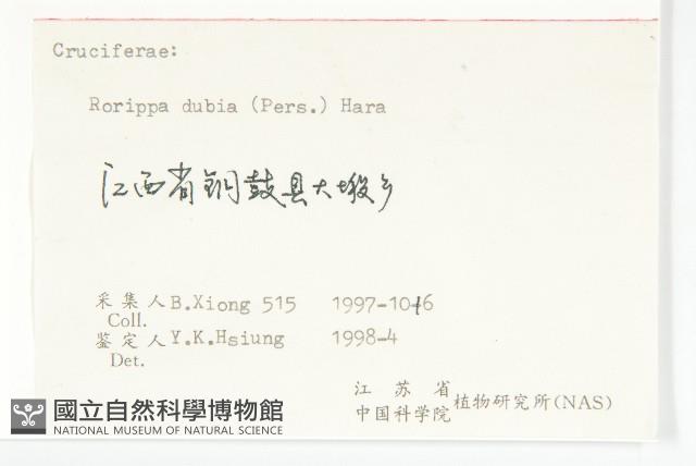 小葶藶藏品圖，第3張