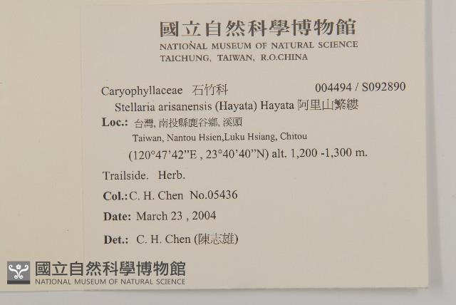 阿里山繁縷藏品圖，第2張