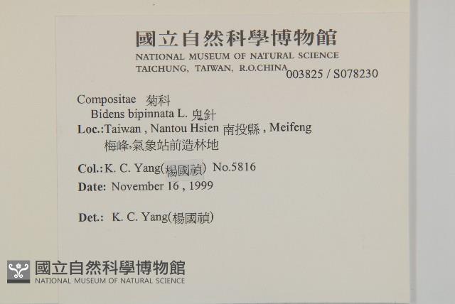 鬼針藏品圖，第2張