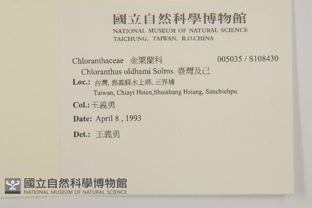 臺灣及己藏品圖，第2張