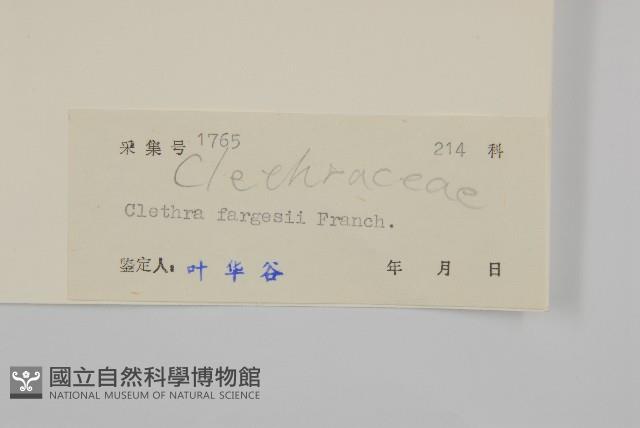 華中山柳藏品圖，第3張