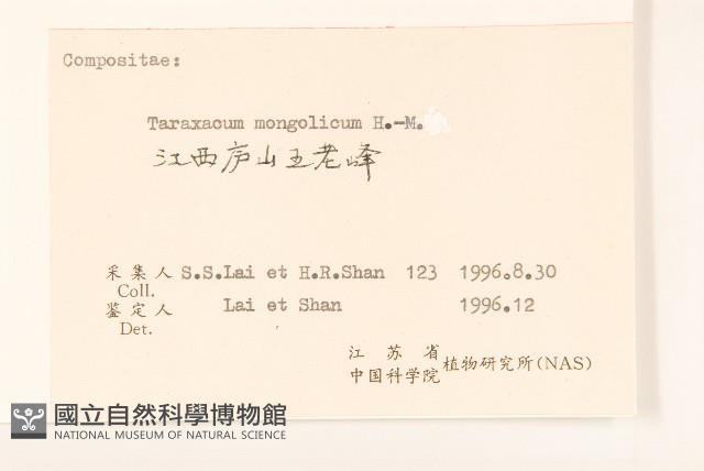 蒲公英藏品圖，第3張