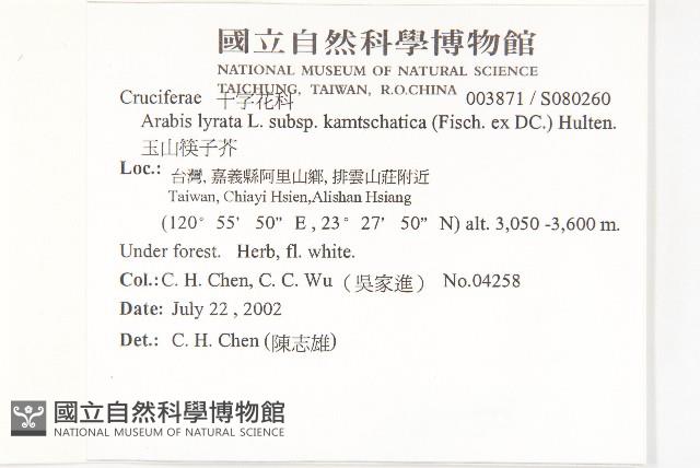 玉山筷子芥藏品圖，第2張