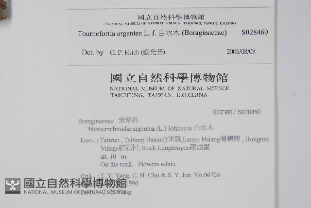 白水木藏品圖，第2張