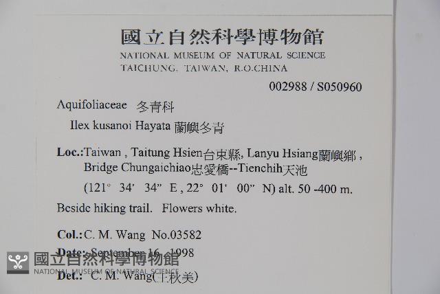 草野氏冬青藏品圖，第2張