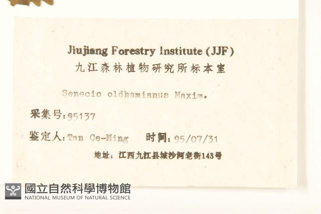 蒲兒根藏品圖，第3張