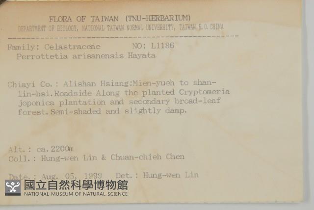 佩羅特木藏品圖，第2張