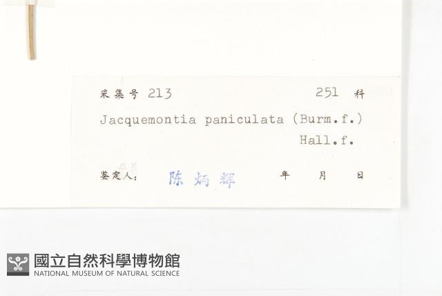 娥房藤藏品圖，第3張