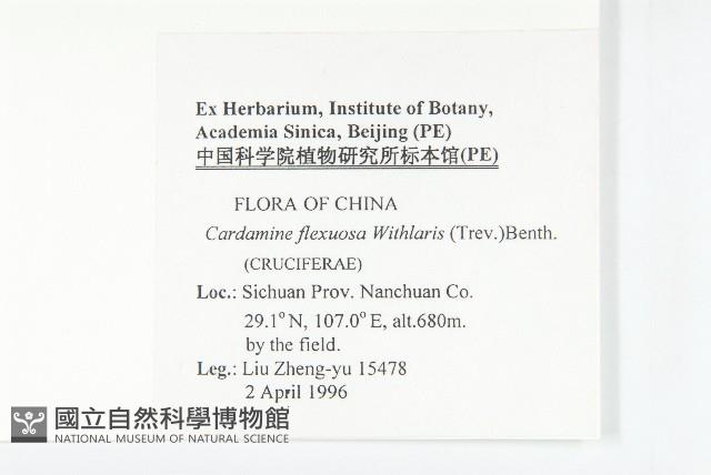 焊菜藏品圖，第2張