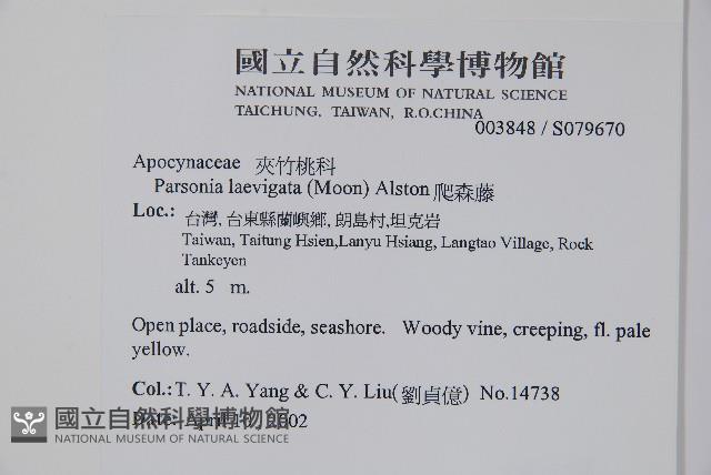 爬森藤藏品圖，第2張