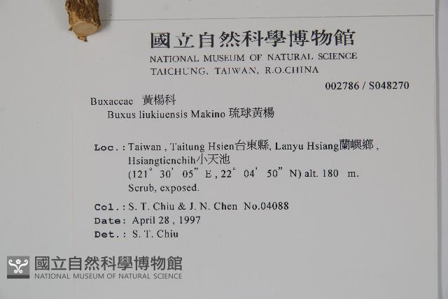 Okinawa Box Collection Image, Figure 2, Total 2 Figures