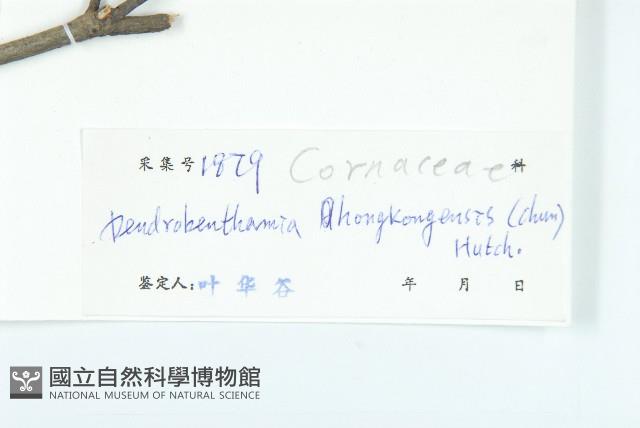 Accession Number:S038680 Collection Image, Figure 3, Total 3 Figures